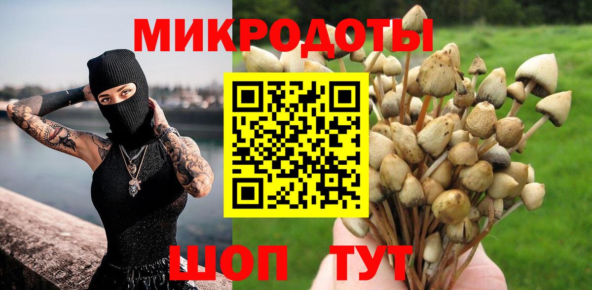 купить наркотики сайты  Галлюциногенные грибы MAGIC MUSHROOMS  Вход с VPN  Бийск 